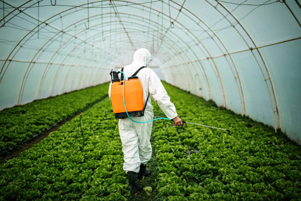 Best Local Pest Control Services  in Wilder, ID