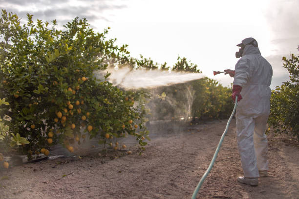 Best Best Pest Control Companies  in Wilder, ID