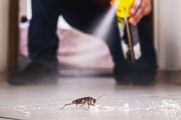 Best Pest Inspection Near Me  in Wilder, ID