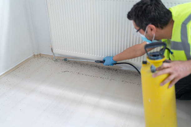 Reliable Wilder, ID Pest Control Solutions